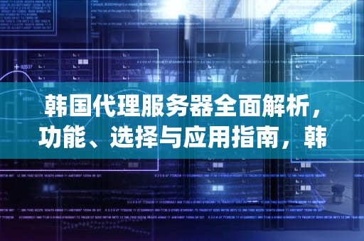 韩国代理服务器全面解析，功能、选择与应用指南，韩国代理服务器ip去哪买
