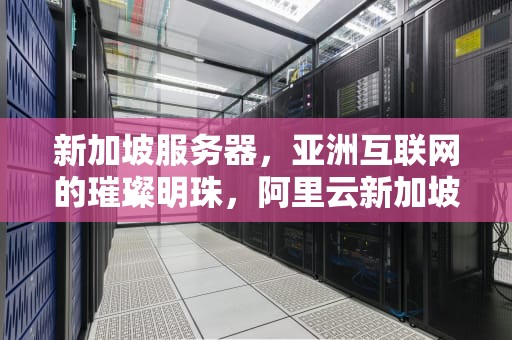 新加坡服务器，亚洲互联网的璀璨明珠，阿里云新加坡服务器