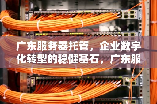 广东服务器托管，企业数字化转型的稳健基石，广东服务器托管公司排名