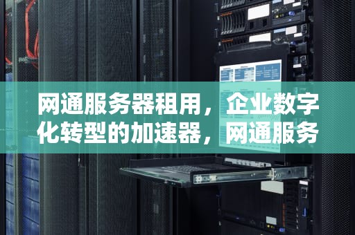 网通服务器租用，企业数字化转型的加速器，网通服务器租用多少钱