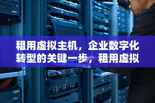 租用虚拟主机，企业数字化转型的关键一步，租用虚拟主机的费用