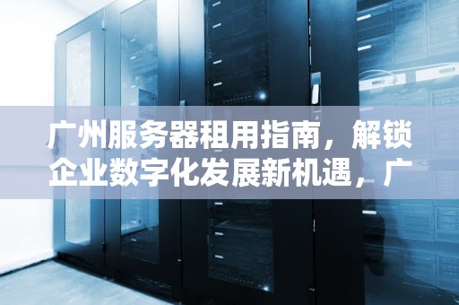 广州服务器租用指南，解锁企业数字化发展新机遇，广州服务器租用泰海