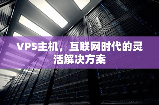 VPS主机，互联网时代的灵活解决方案
