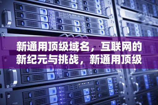 新通用顶级域名，互联网的新纪元与挑战，新通用顶级域名可以自主申请吗