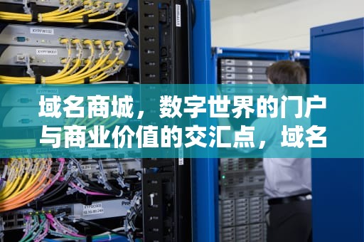 域名商城，数字世界的门户与商业价值的交汇点，域名商城,现在趋势怎么样