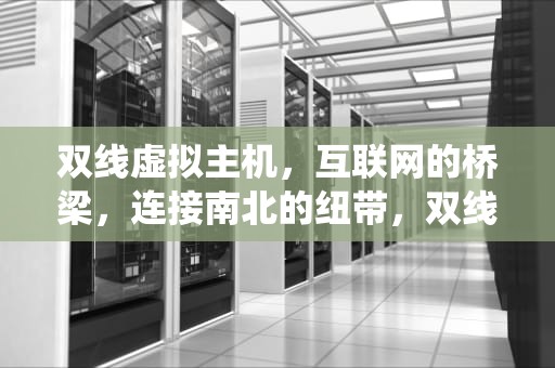 双线虚拟主机，互联网的桥梁，连接南北的纽带，双线虚拟主机管理系统