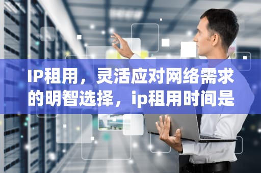IP租用，灵活应对网络需求的明智选择，ip租用时间是什么意思