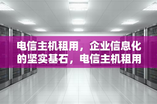 电信主机租用，企业信息化的坚实基石，电信主机租用多少钱