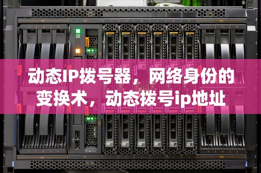 动态IP拨号器，网络身份的变换术，动态拨号ip地址