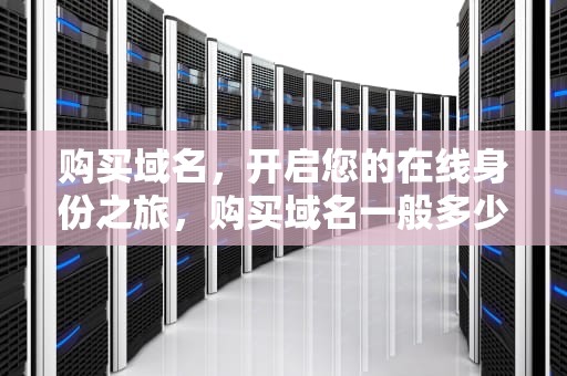 购买域名，开启您的在线身份之旅，购买域名一般多少钱
