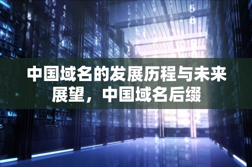 中国域名的发展历程与未来展望，中国域名后缀