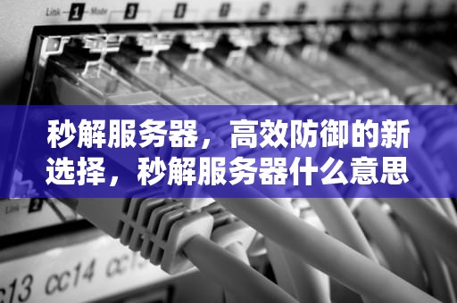 秒解服务器，高效防御的新选择，秒解服务器什么意思