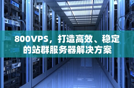 800VPS，打造高效、稳定的站群服务器解决方案