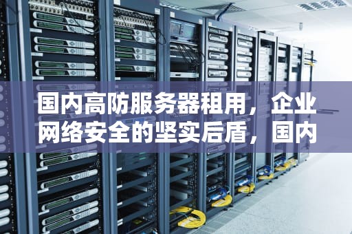 国内高防服务器租用，企业网络安全的坚实后盾，国内高防服务器租用多少钱