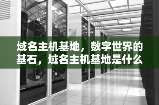 域名主机基地，数字世界的基石，域名主机基地是什么