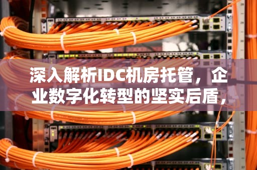 深入解析IDC机房托管，企业数字化转型的坚实后盾，idc机房托管费用