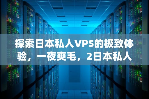 探索日本私人VPS的极致体验，一夜爽毛，2日本私人vps萝卜