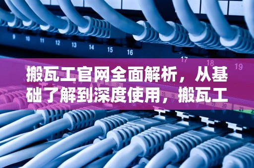搬瓦工官网全面解析，从基础了解到深度使用，搬瓦工官网地址
