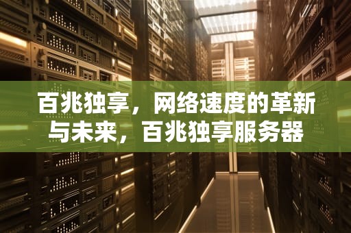 百兆独享，网络速度的革新与未来，百兆独享服务器