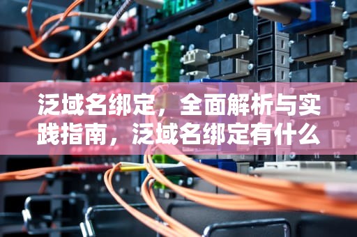 泛域名绑定，全面解析与实践指南，泛域名绑定有什么好看的