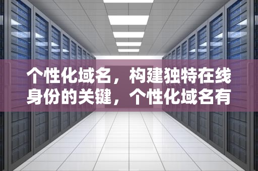 个性化域名，构建独特在线身份的关键，个性化域名有哪些