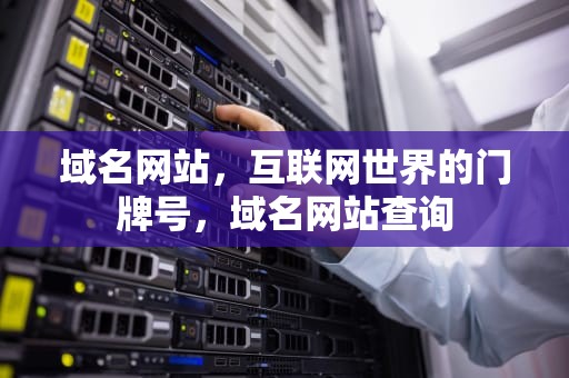 域名网站，互联网世界的门牌号，域名网站查询
