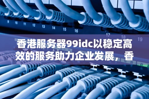 香港服务器99idc以稳定高效的服务助力企业发展，香港服务器加速