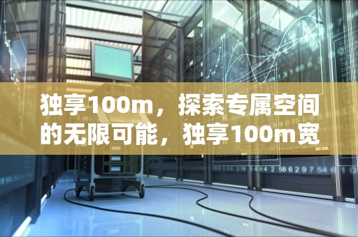 独享100m，探索专属空间的无限可能，独享100m宽带