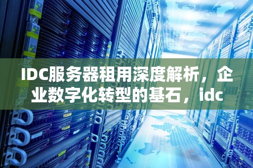 IDC服务器租用深度解析，企业数字化转型的基石，idc服务器租用费用