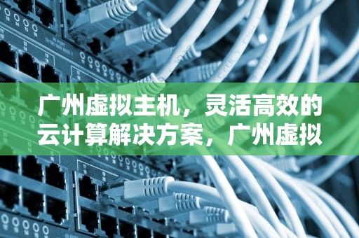 广州虚拟主机，灵活高效的云计算解决方案，广州虚拟主机生产厂家