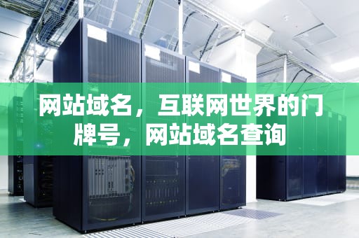 网站域名，互联网世界的门牌号，网站域名查询