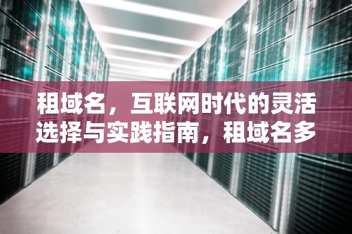 租域名，互联网时代的灵活选择与实践指南，租域名多少钱
