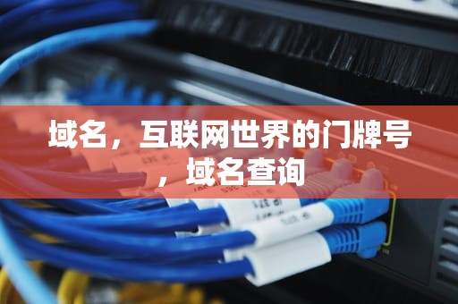 域名，互联网世界的门牌号，域名查询