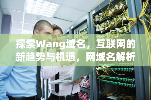探索Wang域名，互联网的新趋势与机遇，网域名解析ip查询