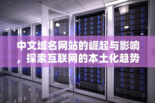 中文域名网站的崛起与影响，探索互联网的本土化趋势，中文域名网站有哪些