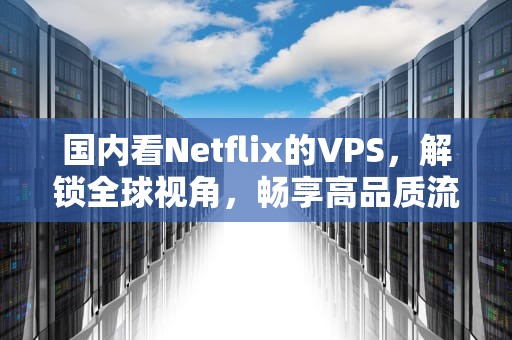 国内看Netflix的VPS，解锁全球视角，畅享高品质流媒体，国内看netflix的方法
