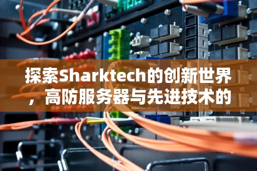 探索Sharktech的创新世界，高防服务器与先进技术的完美结合，sharktech官网