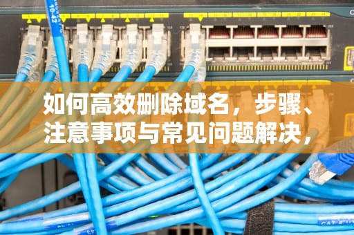 如何高效删除域名，步骤、注意事项与常见问题解决，删除域名备案
