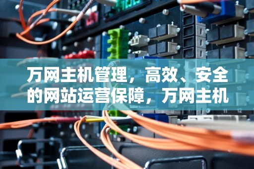 万网主机管理，高效、安全的网站运营保障，万网主机管理控制台