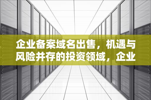 企业备案域名出售，机遇与风险并存的投资领域，企业备案域名出售平台