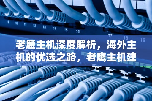 老鹰主机深度解析，海外主机的优选之路，老鹰主机建站教程