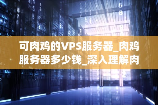 可肉鸡的VPS服务器_肉鸡服务器多少钱_深入理解肉鸡VPS服务器及其应用