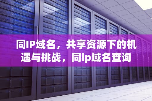 同IP域名，共享资源下的机遇与挑战，同ip域名查询