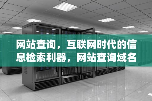 网站查询，互联网时代的信息检索利器，网站查询域名ip
