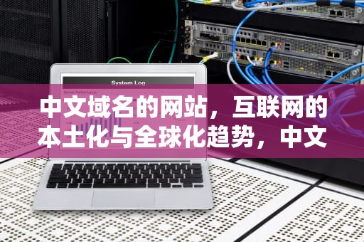 中文域名的网站，互联网的本土化与全球化趋势，中文域名的网站有哪些