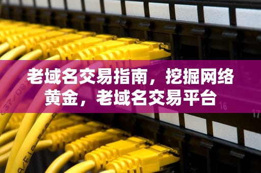 老域名交易指南，挖掘网络黄金，老域名交易平台