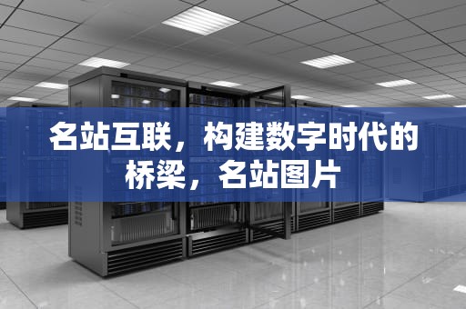 名站互联，构建数字时代的桥梁，名站图片