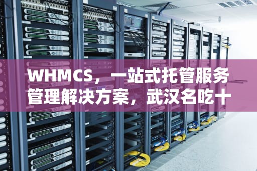 WHMCS，一站式托管服务管理解决方案，武汉名吃十大排行榜
