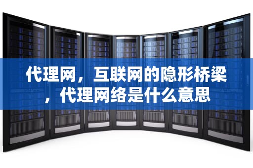 代理网，互联网的隐形桥梁，代理网络是什么意思