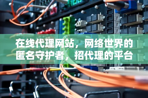 在线代理网站，网络世界的匿名守护者，招代理的平台